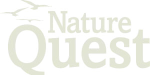 logo-nature-quest